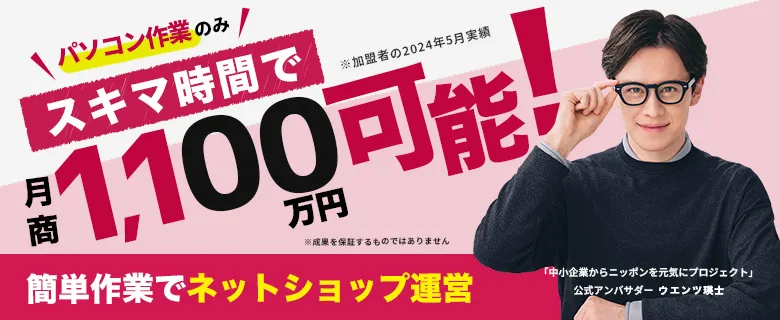 アクセス（ネットショップ運営システム）