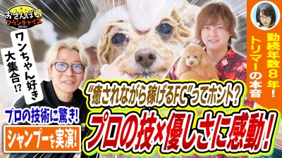 【アイズドッグ】へおさんぽフランチャイズ！vol.3｜勤続年数8年のトリマーさんに働いている感想を取材！癒されながら稼げるFCって本当なのか！？トリミングサロンの可能性を探る回【フランチャイズの窓口】